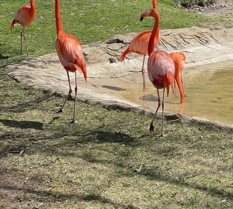 potawatomi-zoo-photo